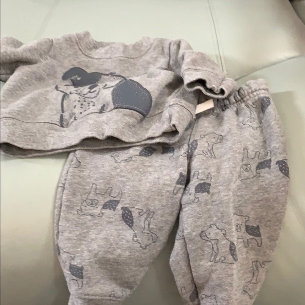 Puppy Sweatsuit